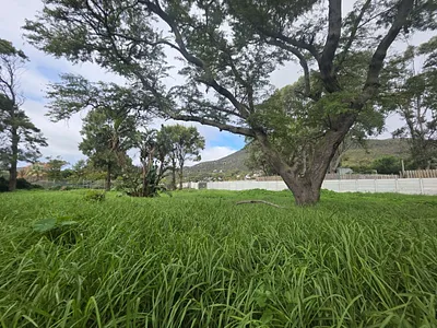 Vacant Land For Sale in Noordhoek - img