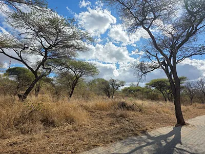Vacant Land For Sale in Hoedspruit - YRlZ.webp