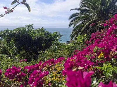 Vacant Land For Sale in Mossel Bay - 3rON.webp