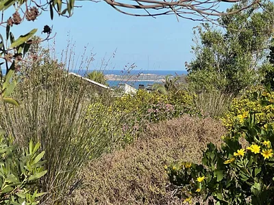 Vacant Land For Sale in Mossel Bay - 0yNT.webp