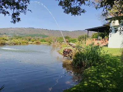 Farm For Sale in Hamawasha AH, Tzaneen - GYVF.webp