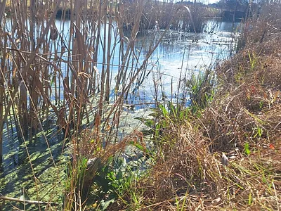 Farm For Sale in Randfontein - mcLf.webp