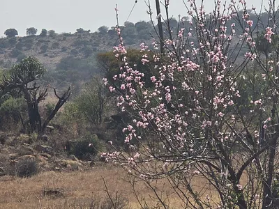 Vacant Land For Sale in Vaal Marina - 2w8R.webp