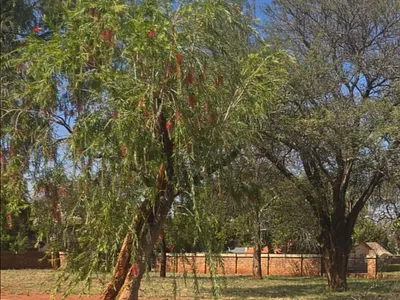 Vacant Land For Sale in Mookgopong - bX0C.webp