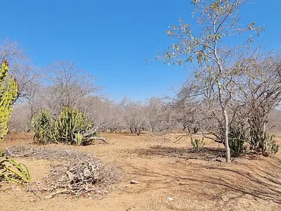 Vacant Land For Sale in Marloth Park - oA8B.webp