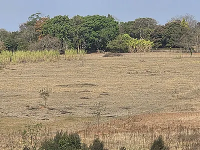 Vacant Land For Sale in White River - V1GL.webp