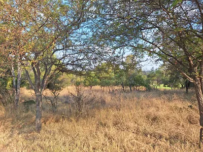 Vacant Land For Sale in Modimolle - zmbL.webp