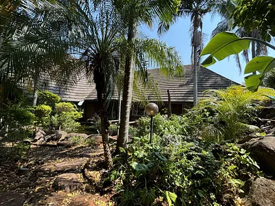 7 Bedroom House For Sale in Tzaneen - img