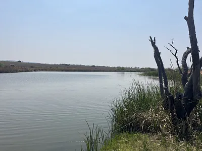 Farm For Sale in Mookgopong - X8jD.webp