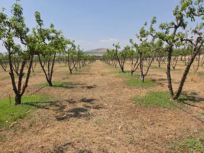 Farm For Sale in Polokwane - J3Io.webp