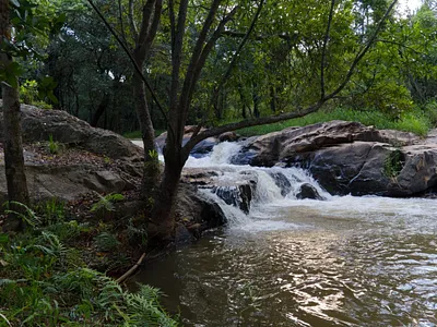 Farm For Sale in Nelspruit - koHS.webp