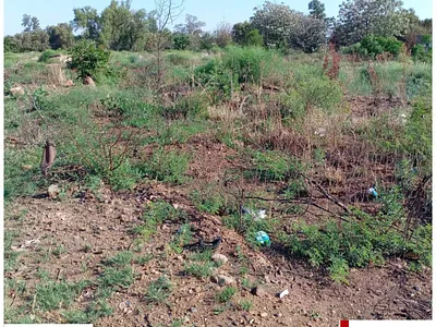 Vacant Land For Sale in Christiana - cHyP.webp