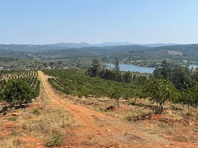 Farm For Sale in White River - gheh.webp