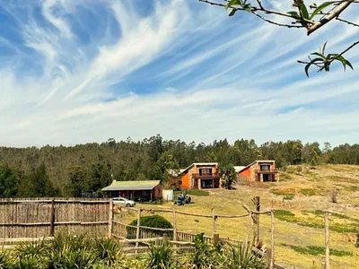 Farm For Sale in Sedgefield - roZC.webp