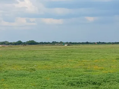 Farm For Sale in Mookgopong - img