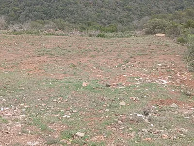 Vacant Land For Sale in Mossel Bay - 99eo.webp