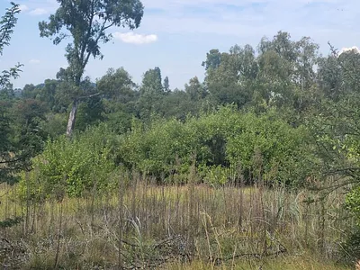 Vacant Land For Sale in Vaal Marina - IilT.webp