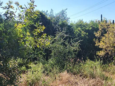 Vacant Land For Sale in Vaal Marina - ROKM.webp