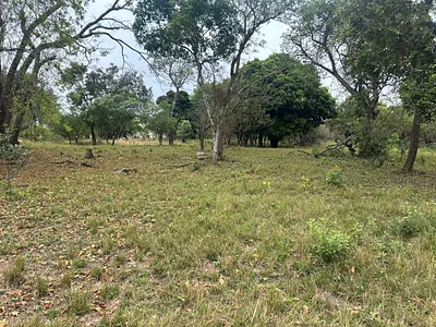 Vacant Land For Sale in Hazyview - zbVK.webp