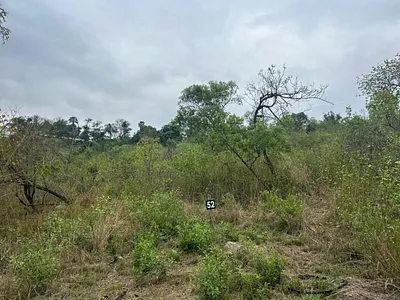 Vacant Land For Sale in Hazyview - vdx6.webp