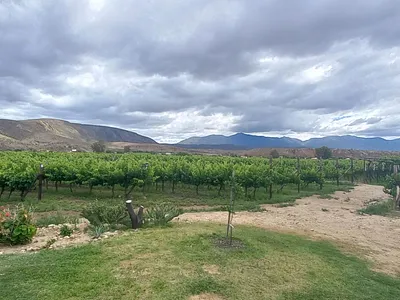 Farm For Sale in Calitzdorp - ntfx.webp