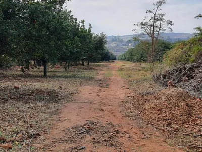 Farm For Sale in White River - dQfb.webp