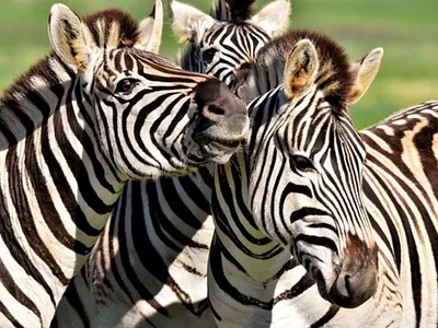 Vacant Land For Sale in Vaal Marina - 2aIE.webp