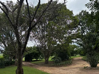 Farm For Sale in Nelspruit - d7Sv.webp