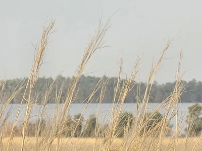 Vacant Land For Sale in Vaal Marina - fE50.webp