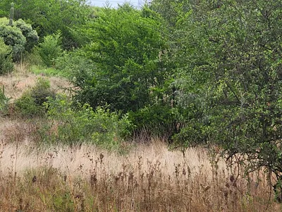 Vacant Land For Sale in Vaal Marina - J8zZ.webp