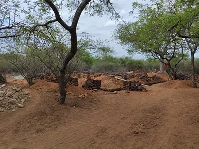 House For Sale in Marloth Park - ltbx.webp