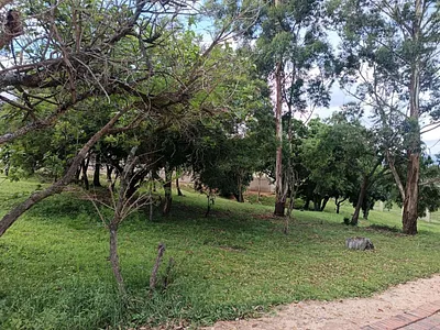 Vacant Land For Sale in Nelspruit - Y2pv.webp