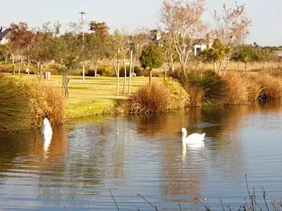 Vacant Land For Sale in Midrand - 7iji.webp