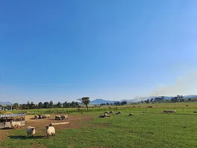 Farm For Sale in Volksrust - SVRF.webp