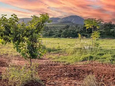 Vacant Land For Sale in Malelane - Crct.webp