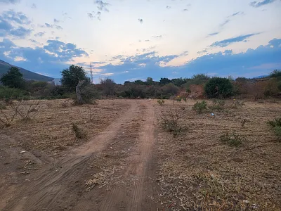 Farm For Sale in Burgersfort - Q7yT.webp