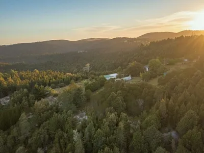 Farm For Sale in Sedgefield - eCWk.webp