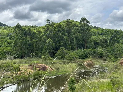 Farm For Sale in White River - zeuR.webp