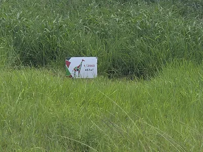 Vacant Land For Sale in Nelspruit - img