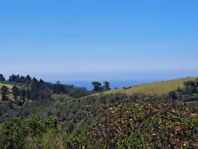 Vacant Land For Sale in Wilderness - Pcgi.webp