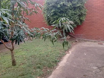 2 Bedroom Apartment To Rent in Durban - img