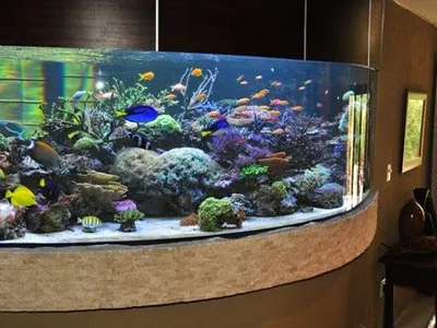 5 Bedroom House To Rent in Sandton - img