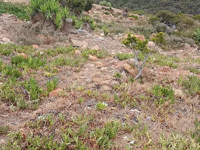 Vacant Land For Sale in Mossel Bay - aWoD.webp