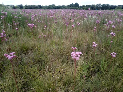 Vacant Land For Sale in Pretoria - EQdc.webp