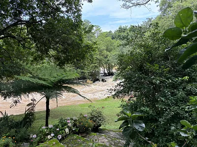 Farm For Sale in Tzaneen - img