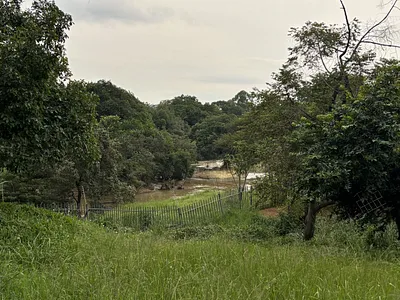 Vacant Land For Sale in Tzaneen - AYYX.webp