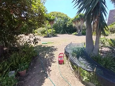 Commercial Property For Sale in Port Elizabeth - KIk2.webp