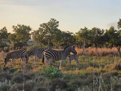 Vacant Land For Sale in Pretoria - BoAr.webp