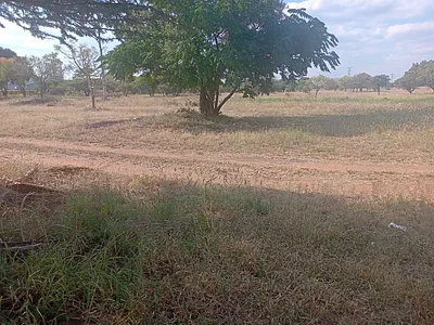 Vacant Land For Sale in Polokwane - 2WXD.webp