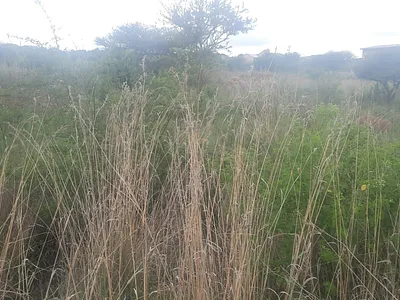 Vacant Land For Sale in Polokwane - j30D.webp